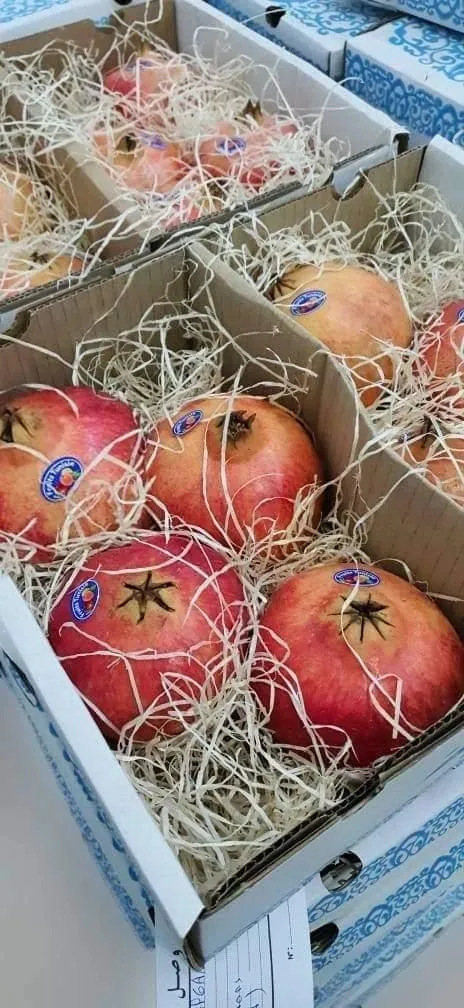 Pomegranates packed in a carton for export